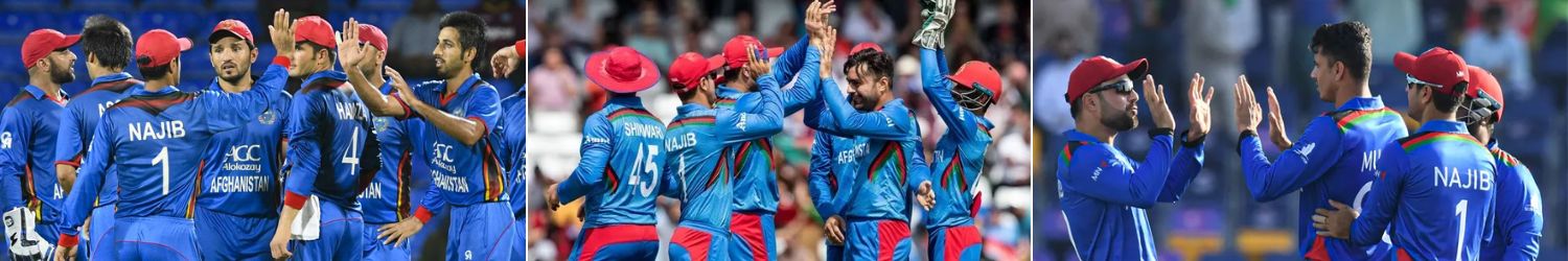 Afghanistan Cricket World Cup Tickets 