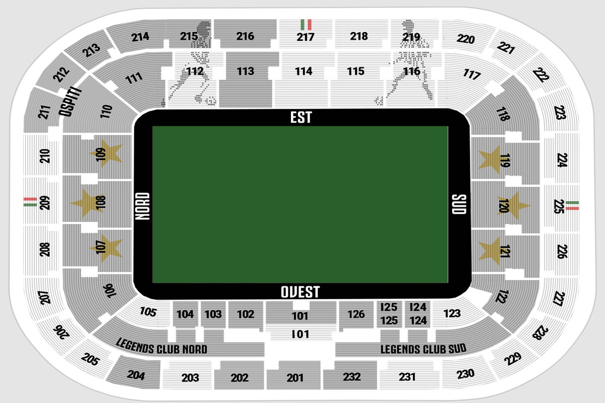 Allianz Stadium Italy Vs South Africa Venue Seating Plan